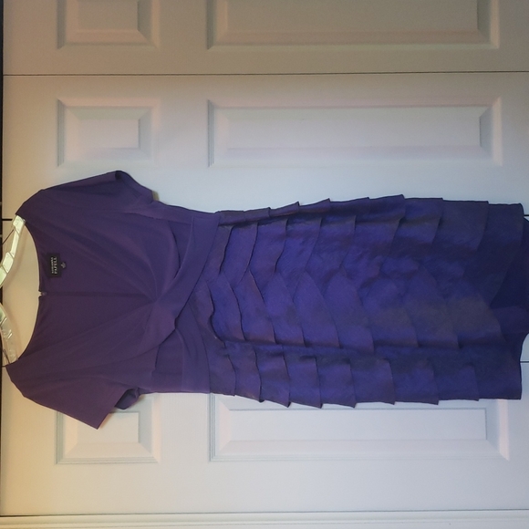 Gorgeous Purple & Iridescent purple Dress. Vneck with flattering ruffles. - Picture 2 of 9
